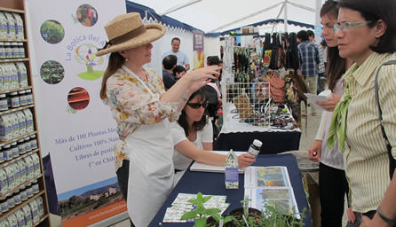 Municipalidad de Viña del Mar invita a 5ª Feria Verde en Viña del Mar