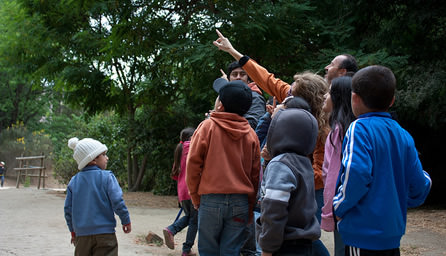 Niños de Reñaca Alto conocieron Jardín Botánico  y participaron en taller impulsado por Municipalidad de Viña  del Mar
