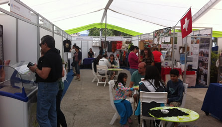 Municipalidad de Viña del Mar realiza Feria Microempresarial de verano