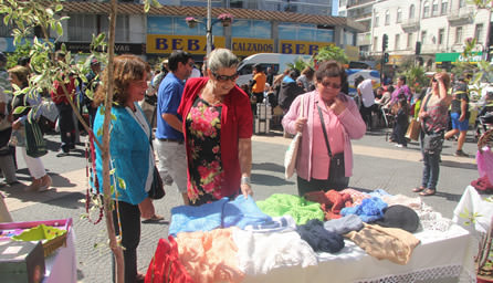 Municipio de Viña del Mar dio inicio a las actividades para celebrar el Mes de la mujer
