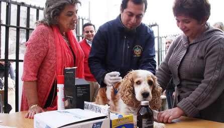 Con capacitaciones y operativos caninos, alcaldesa Virginia Reginato fomenta la tenencia responsable de mascotas