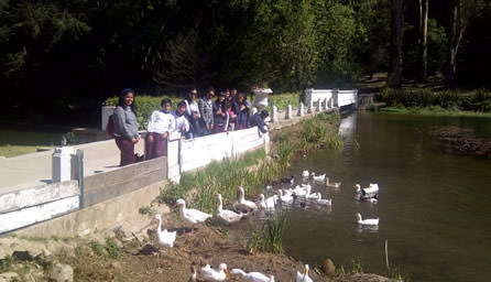 Programa PASOS de la Municipalidad de Viña del Mar informa los talleres patrimoniales que ofrecerá a estudiantes este 2014