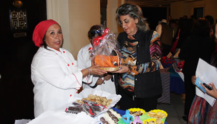 Municipio de Viña del Mar lanzó atractivo programa de capacitaciones para este año 2014