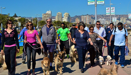 Antecedentes de las fechas de Perrorunning 2014 fueron dadas a conocer por alcaldesa Virginia Reginato