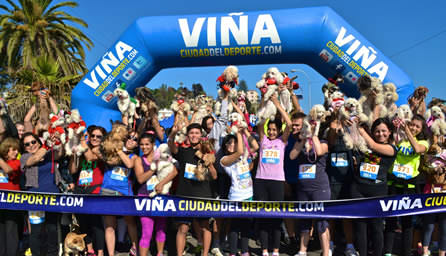 Exitosa jornada de solidaridad canina por Valparaíso tuvo Perrorunning organizada por la Municipalidad de Viña del Mar