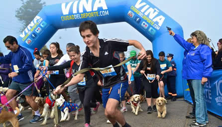 Masiva participación tuvo Perro running organizada por la Municipalidad de Viña del Mar