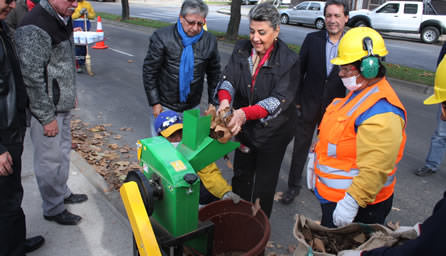 Municipalidad de Viña del Mar reutiliza para mejorar tierra de jardines, hojas secas de árboles