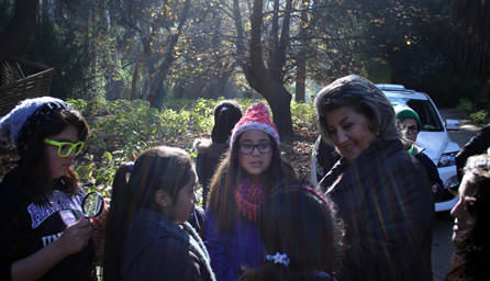 Estudiantes conocen el Patrimonio natural a través de talleres del Programa Pasos de la Municipalidad de Viña del Mar