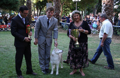 Alcaldesa Virginia Reginato, expocan