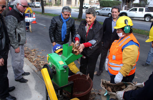 Imagen de la noticia: Alcaldesa Virginia Reginato, retiro hojas