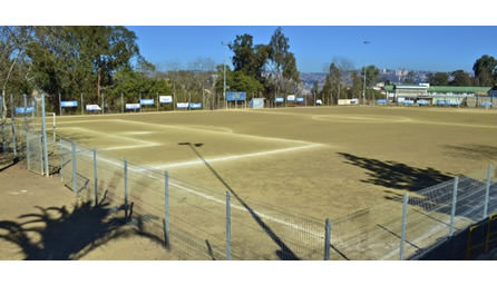 Municipio de Viña del Mar repondrá muro perimetral de estadio El Bosque