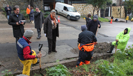 Positivo balance de intenso sistema frontal en Viña del Mar realizó alcaldesa Virginia Reginato