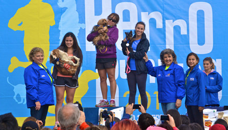 Con banderazo de apoyo a la La Roja se realizará nueva fecha  de Perrorunning organizada por la Municipalidad de Viña del Mar