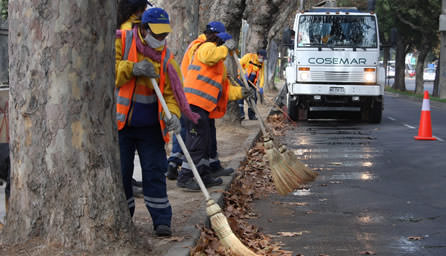 OMIL de la Municipalidad de Viña del Mar gestiona  100 puestos de trabajo en forma inmediata