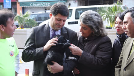 Destacan a Municipalidad de Viña del Mar en programa de control de población canina