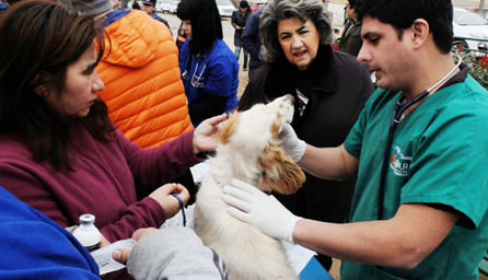 Municipalidad de Viña del Mar realizó nuevo operativo social en Villa Independencia