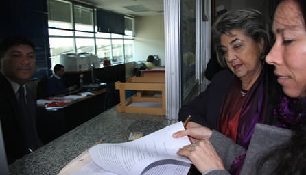 Querella contra empresa que vierte material a estero Marga Marga interpuso alcaldesa Virginia Reginato