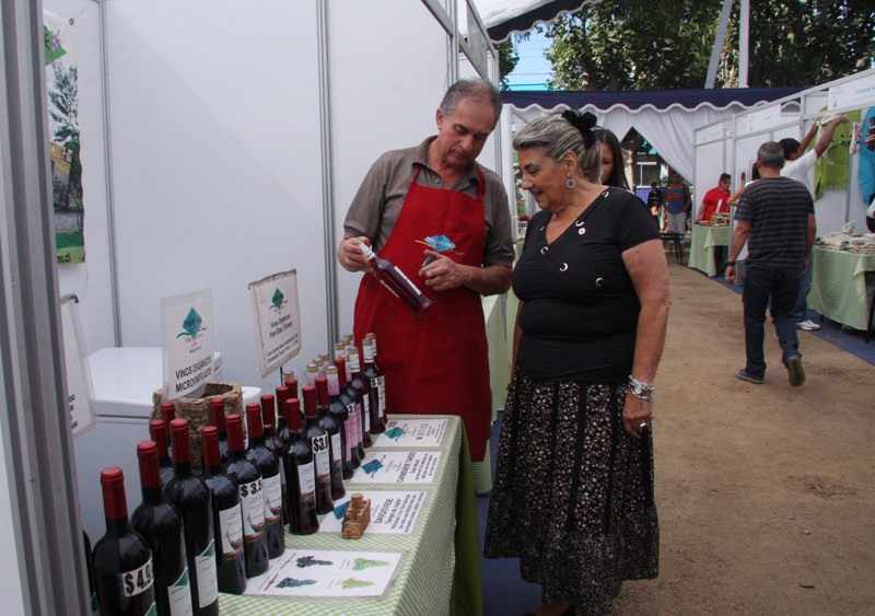 Municipio de Viña del Mar abre postulaciones a ferias temáticas que se realizarán en Septiembre