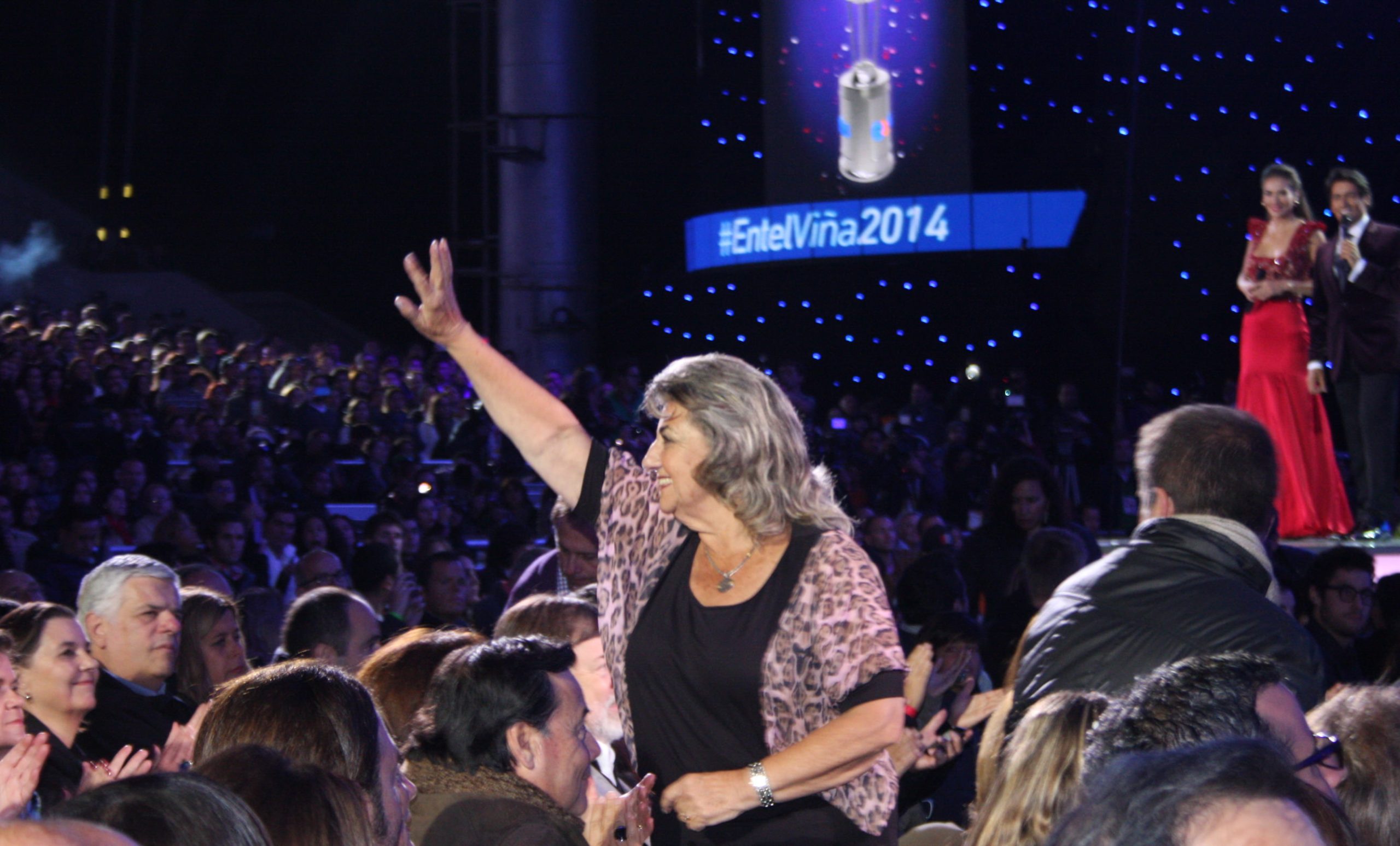 Alejandro Fernández y Emmanuel, primeros confirmados para Festival de Viña 2015