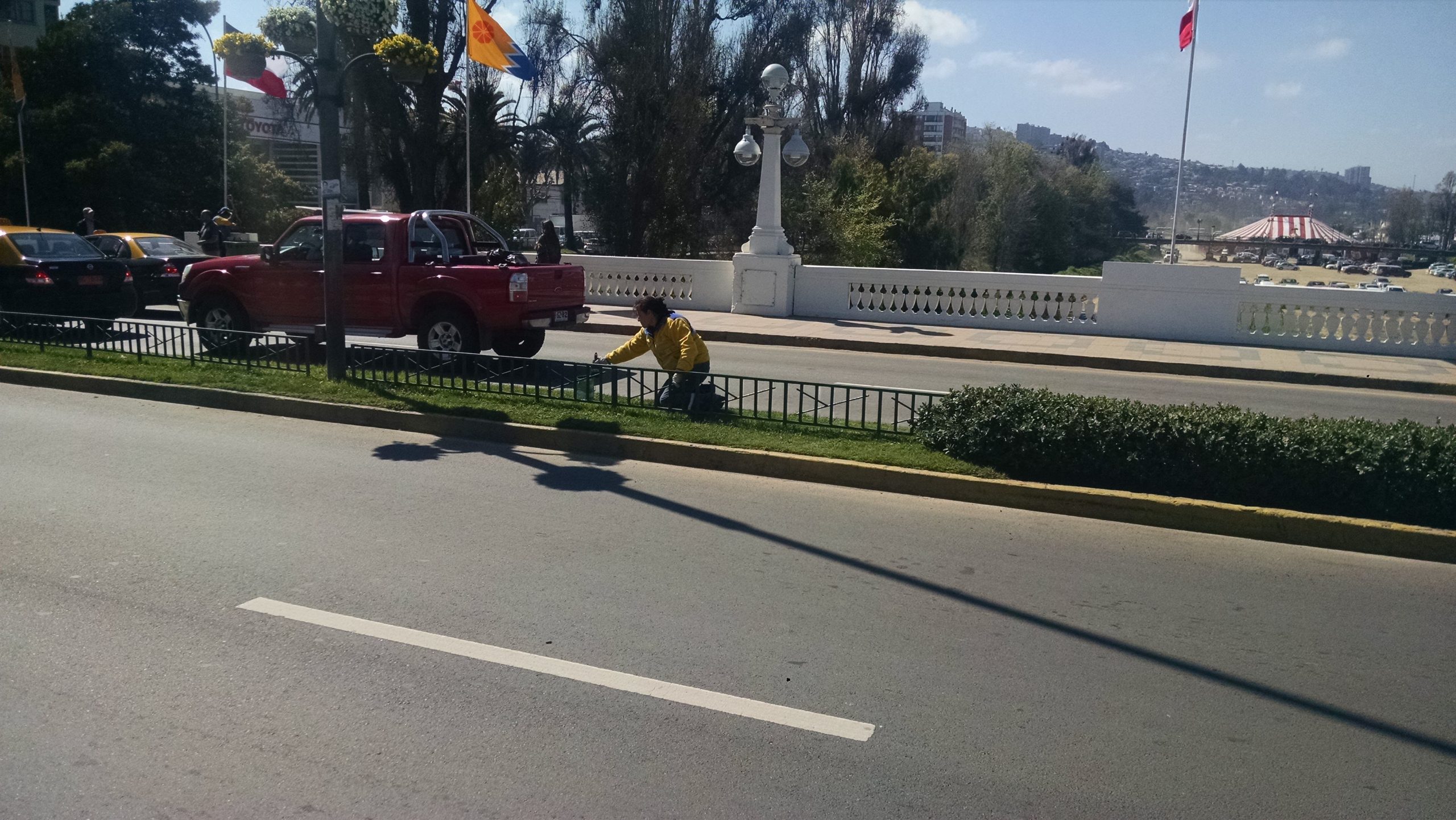 Municipio de Viña del Mar avanza en trabajos de embellecimiento de la ciudad