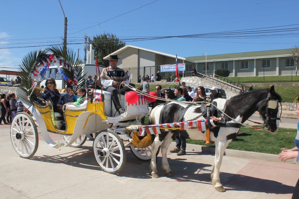 Con diversas muestras folclóricas se realizó la actividad forestal le baila a chile