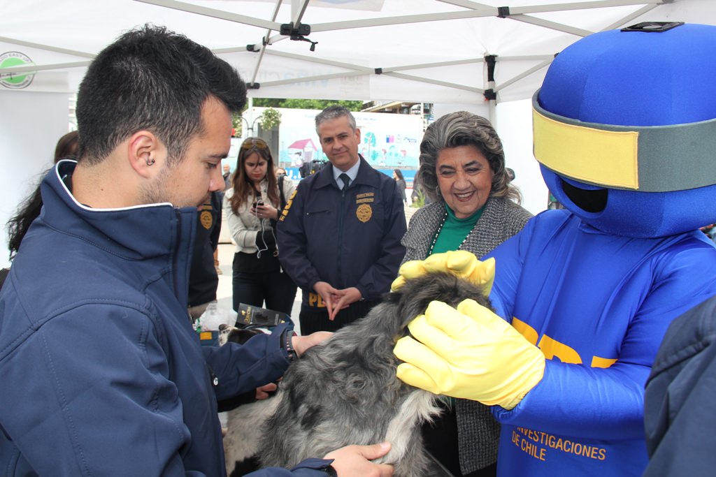 Municipio de Viña del Mar y PDI inician campaña para evitar el maltrato animal