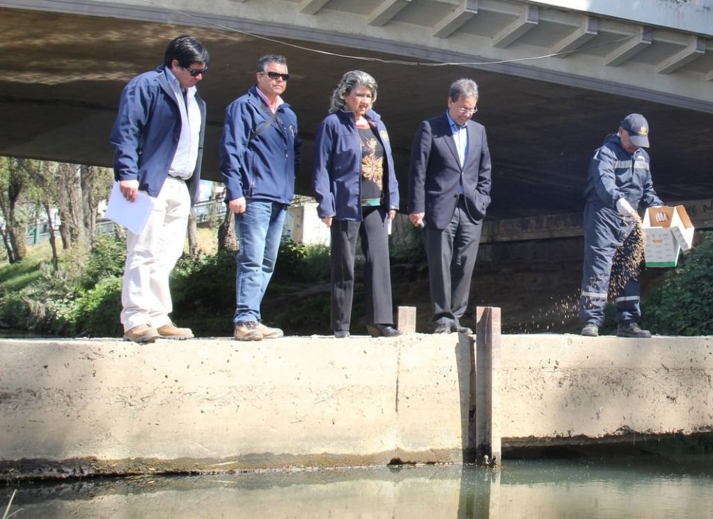 Imagen principal: Municipio de Viña del Mar inició proceso de control  integrado para evitar presencia de zancudos