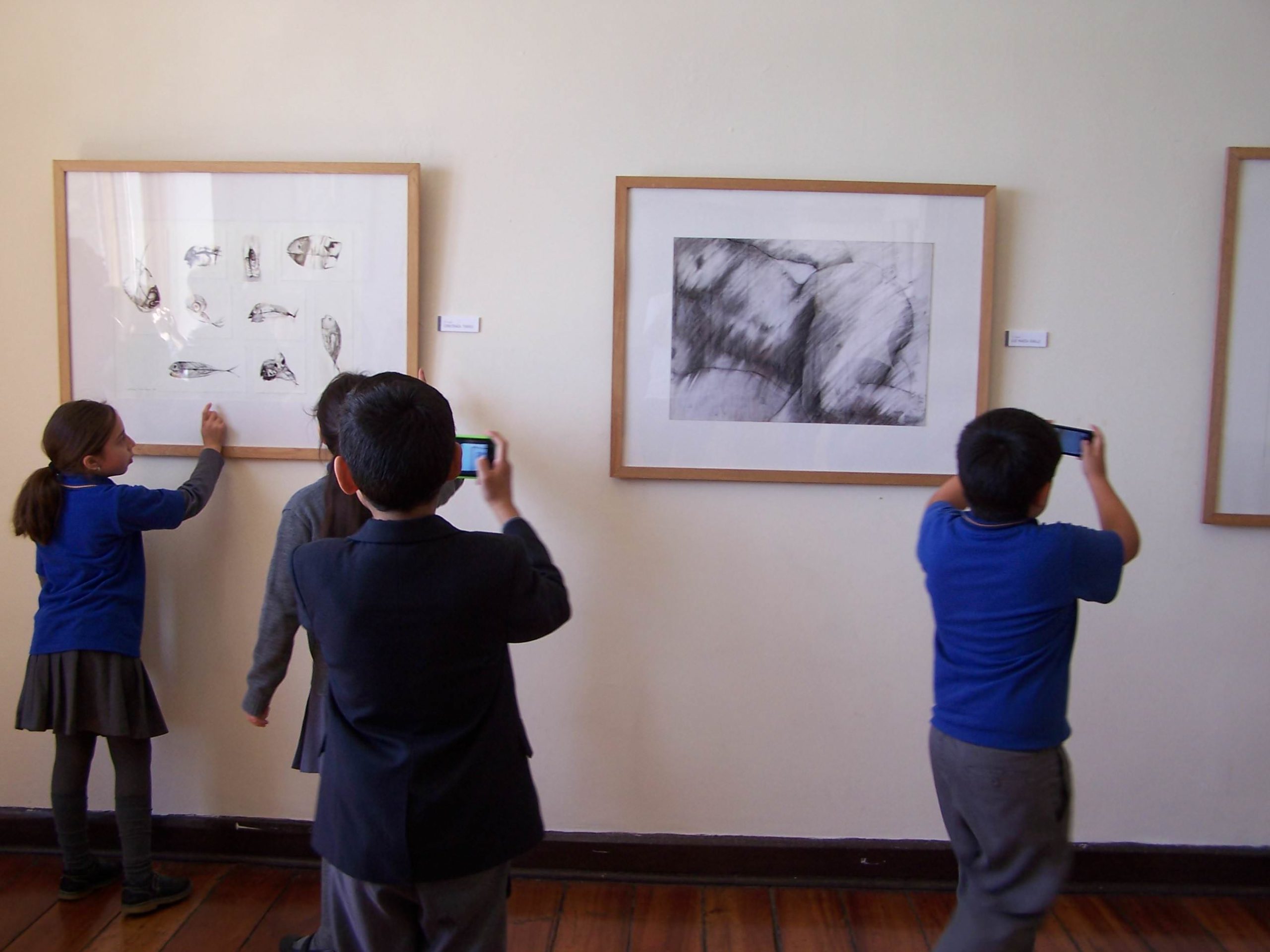 Municipalidad de Viña del Mar invita a disfrutar de últimos días de Bienal Regional de dibujos