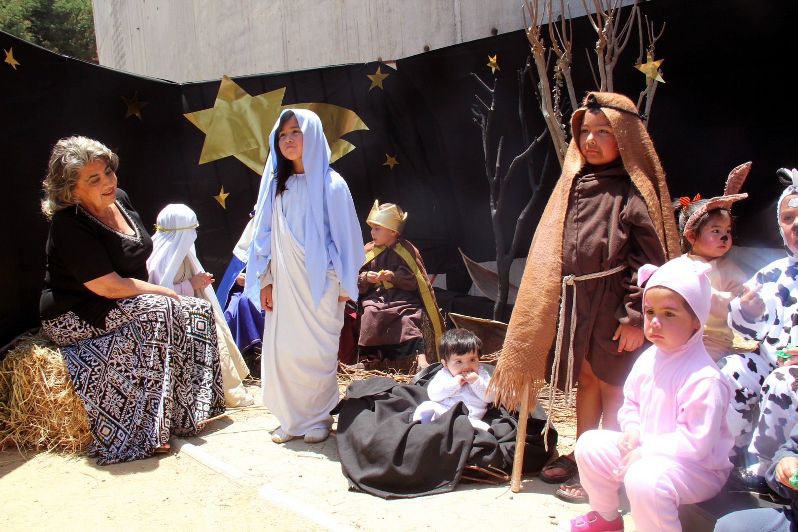 Municipalidad de Viña del Mar entrega 30 mil juguetes de Navidad