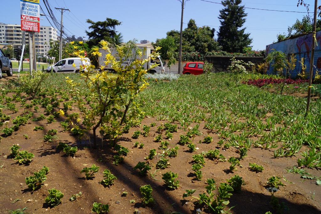 Construcción  de área verde en ingreso a Viña del Mar fueron inspeccionadas por alcaldesa Virginia Reginato