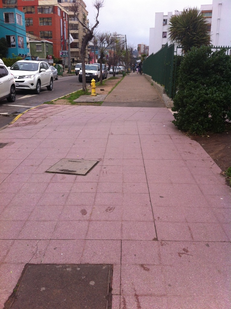 Municipio de Viña del Mar adjudica ejecución de obras para circuito peatonal de  14 norte