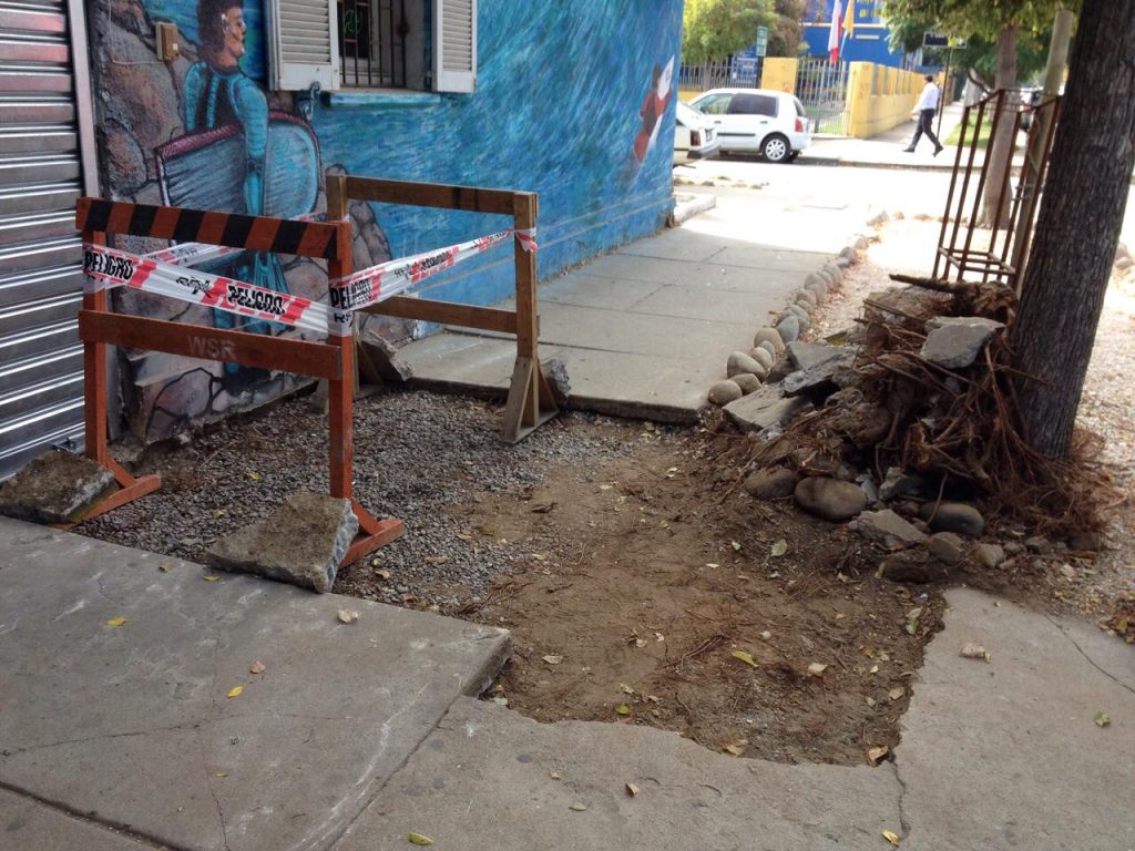 Imagen principal: Municipalidad de Viña del Mar mejora aceras en varios sectores de la ciudad y cambia refugio peatonal