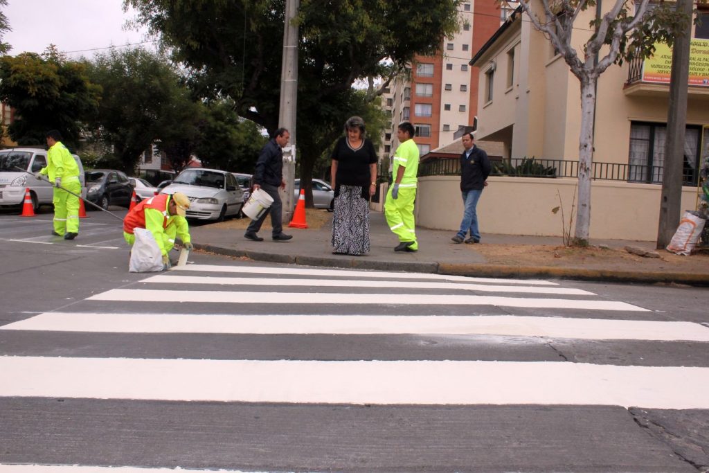 Imagen principal: Municipio de Viña del Mar refuerza repintado vial para potenciar seguridad de estudiantes