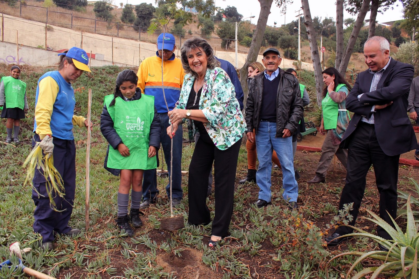Municipio de Viña del Mar reforesta parque de El Olivar con más de 50 árboles de distintas especies