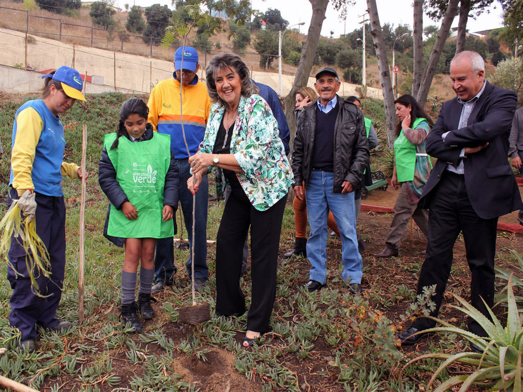 Alcaldesa Virginia Reginato, reforestacion olivar