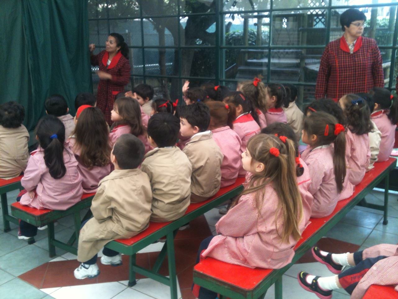 Niños de nivel preescolar disfrutaron obra de títeres del Programa municipal PASOS de la Municipalidad de Viña del Mar