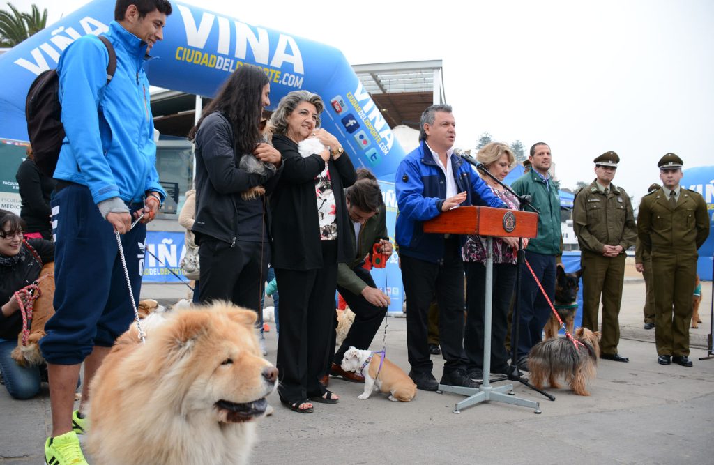 Imagen principal: Siete fechas tendrá temporada 2015 de las perrorunning, organizadas por la Municipalidad de  Viña del Mar