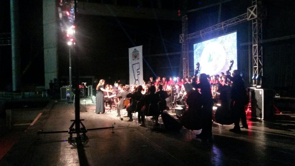 Imagen principal: Fan Viña  cumplió 10 años, con la participación de más de 20 mil personas