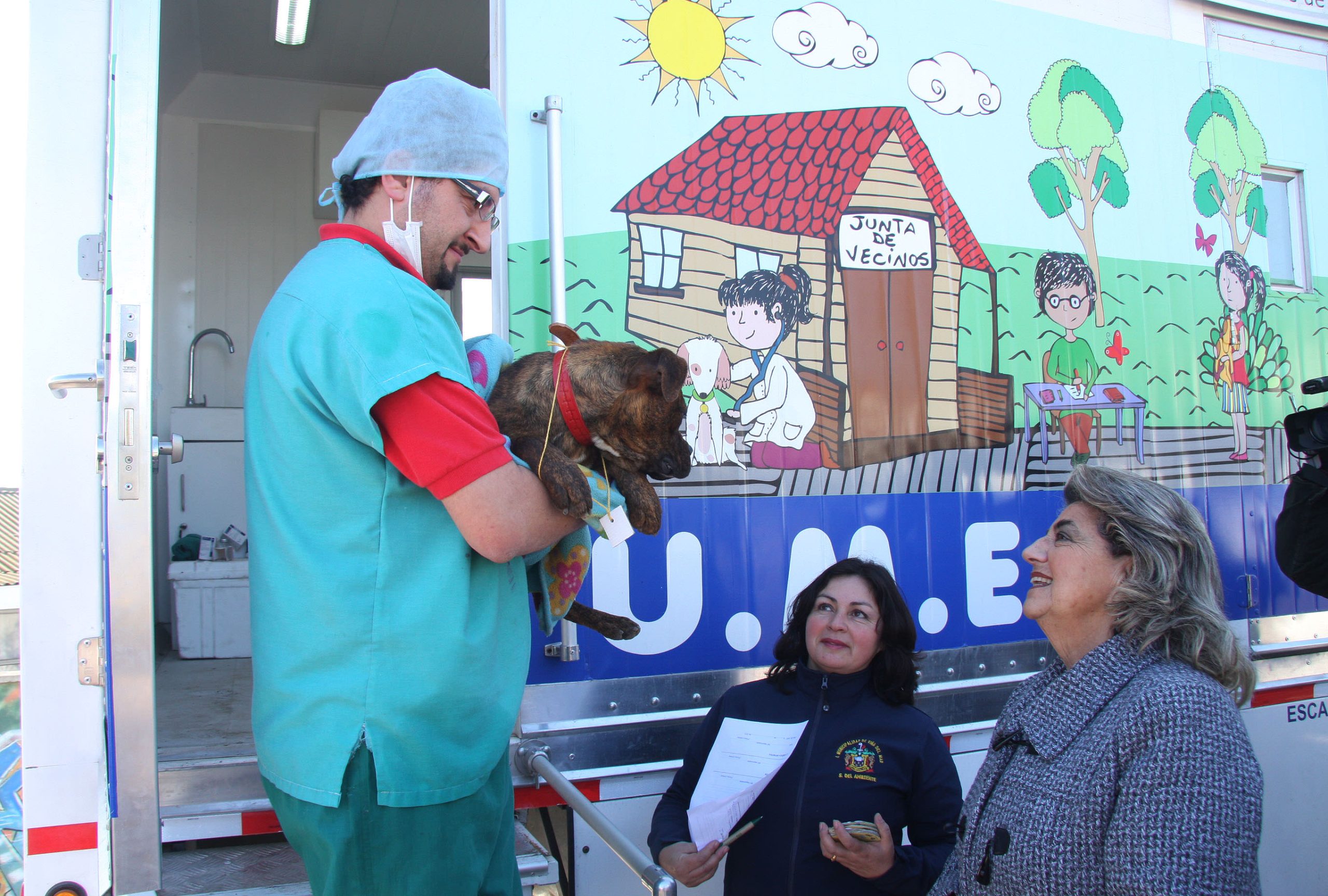 Programa de esterilización  canina de la Municipalidad de Viña del Mar amplía atenciones a los días sábado