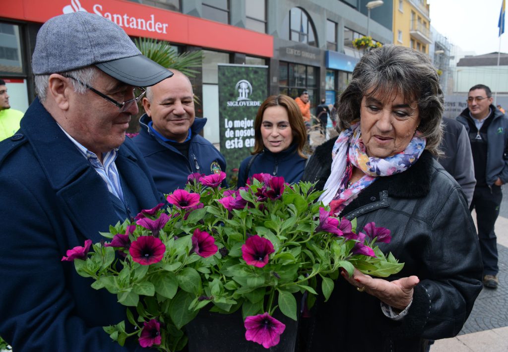 Imagen principal: Con nuevas flores y plantas, Municipio de Viña  del Mar  incrementa hermoseamiento de la ciudad