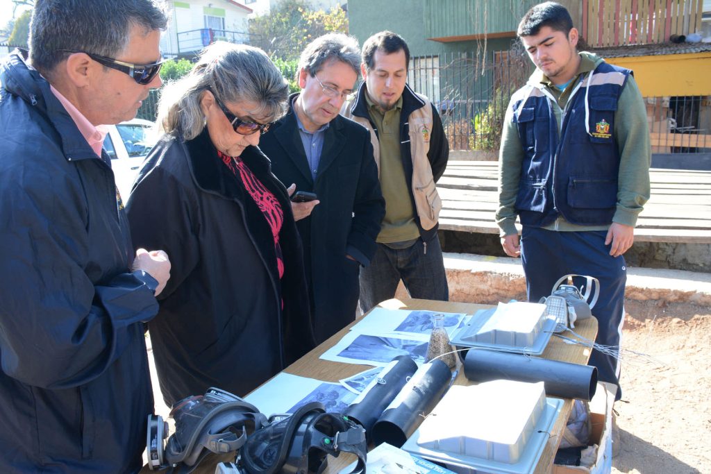 Imagen principal: Municipio de Viña del Mar desarrolla operativos para evitar proliferación de roedores