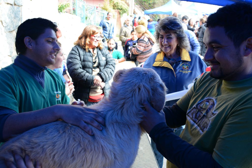 Imagen principal: Importante ayuda a sectores altos entregó Municipalidad de Viña del Mar con plan de operativos sociales