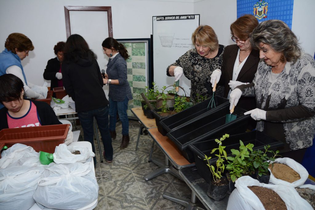 Imagen principal: Municipio de Viña del Mar implementa programa de huertos urbanos orgánicos