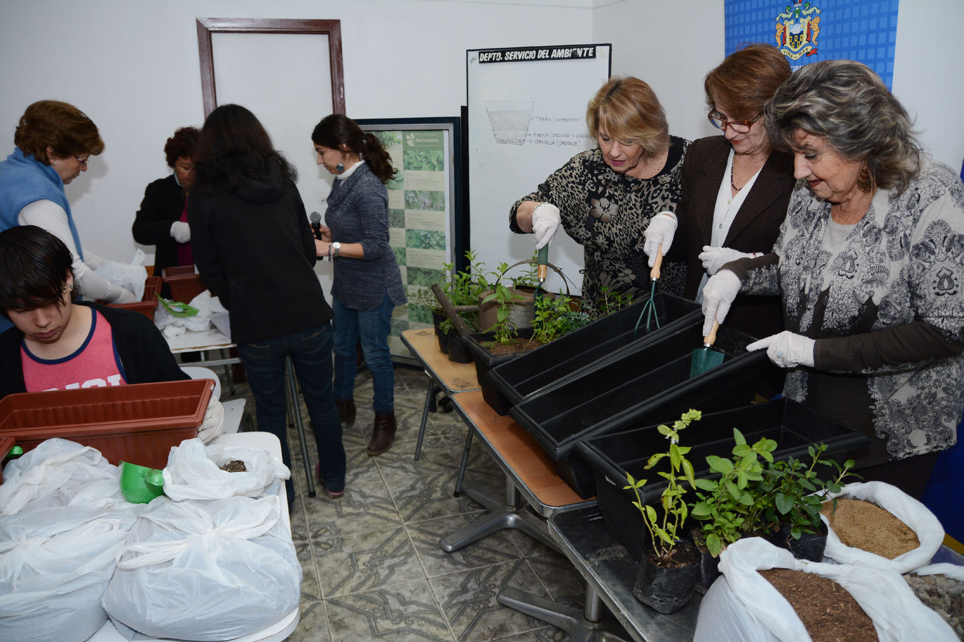 Municipio de Viña del Mar implementa programa de huertos urbanos orgánicos