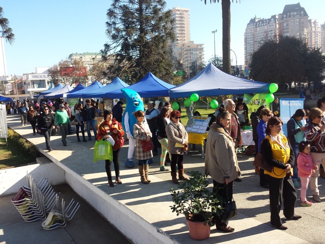 Municipio de Viña del Mar conmemoró el Día Mundial del Medio Ambiente con feria educativa