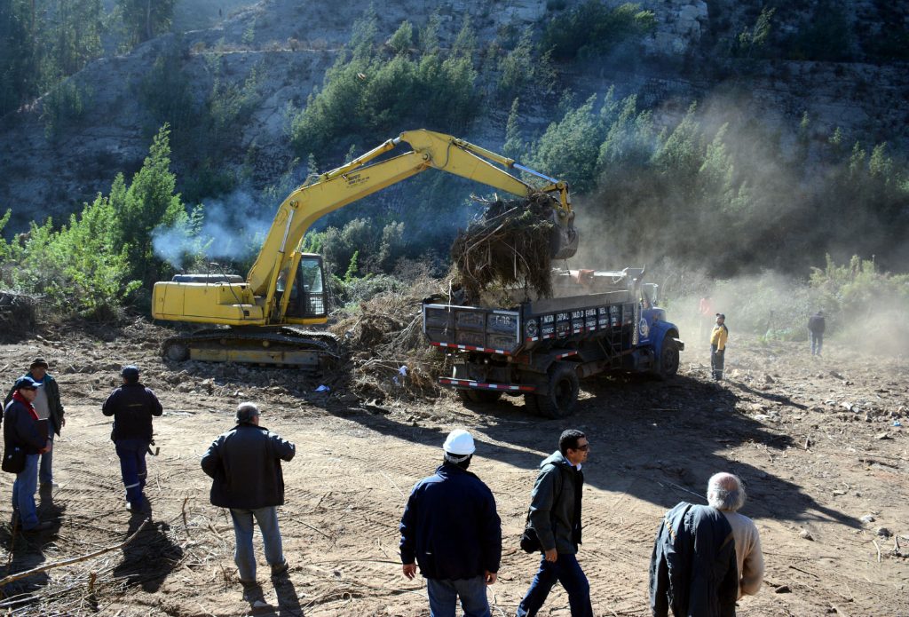 Imagen principal: Intenso trabajo para extraer vegetación del estero ejecuta Municipalidad de Viña del Mar
