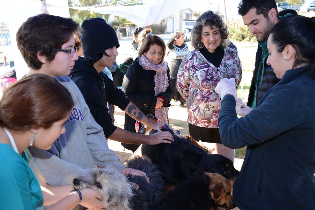 Imagen principal: Vecinos de Miraflores Alto fueron beneficiados con diversas prestaciones y servicios sociales del Municipio de Viña del Mar