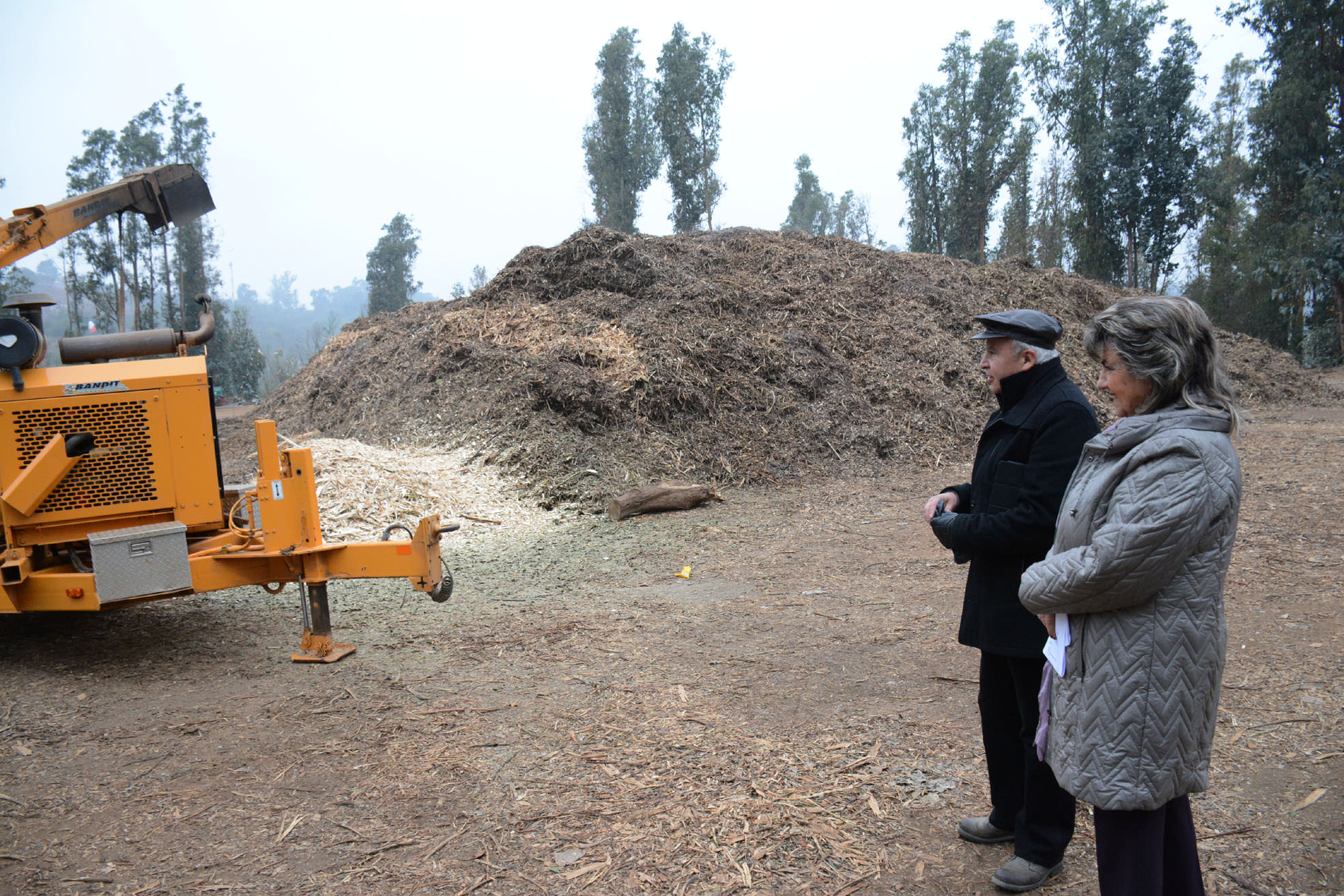 Municipio de Viña del Mar produce su propia tierra vegetal reutilizando ramas de podas y troncos