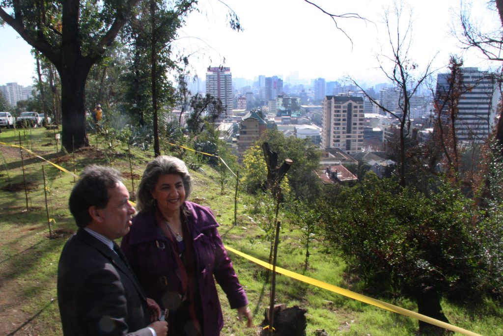 Imagen principal: Municipio de Viña del Mar adjudica conservación del bosque de Quinta Vergara y Miraflores
