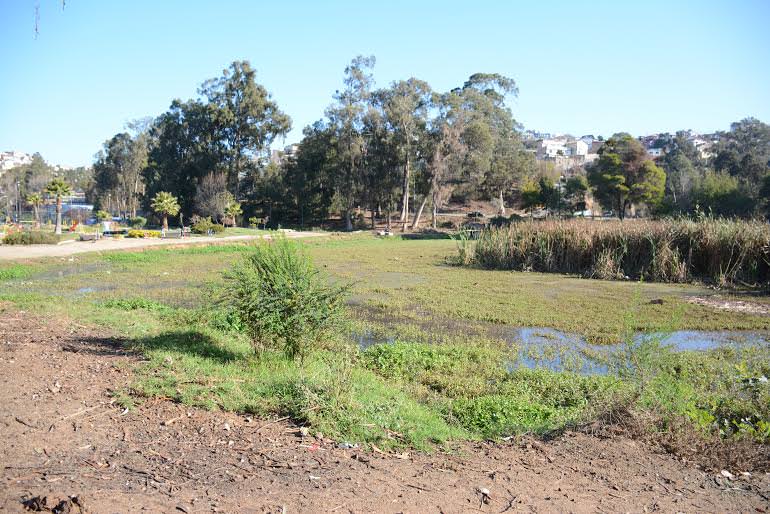 Municipio de Viña del Mar llamó a licitación para diseñar muro desarenador para tranque Forestal